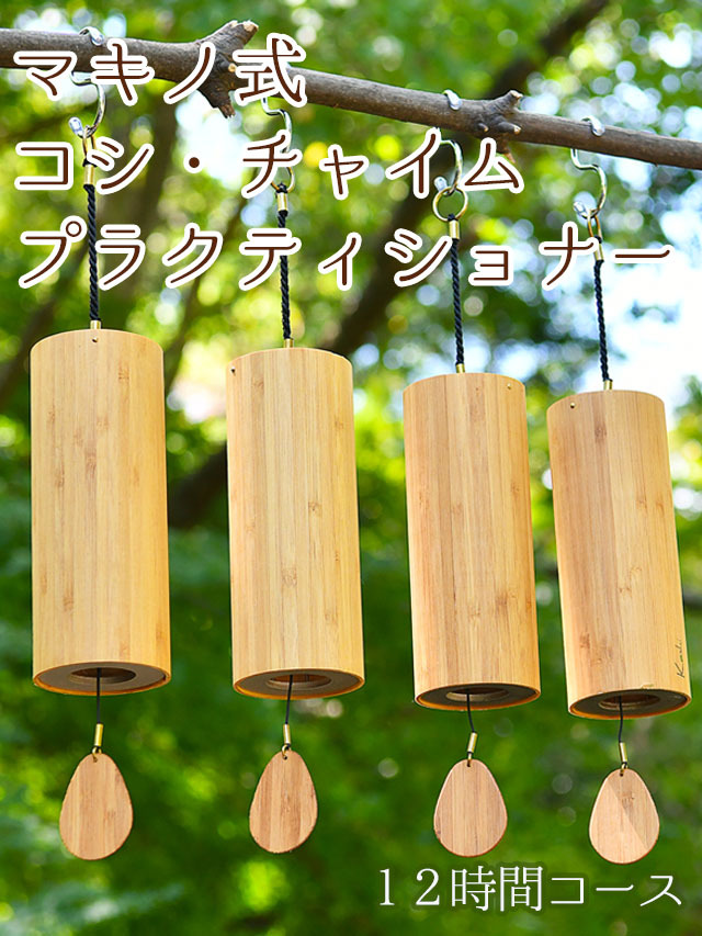 マキノ式コシ・チャイム・プラクティショナー コース【くりすたり庵】