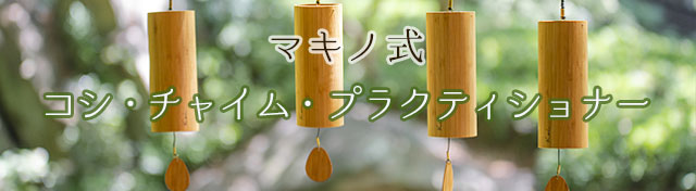 マキノ式コシ・チャイム・プラクティショナー コース【くりすたり庵】