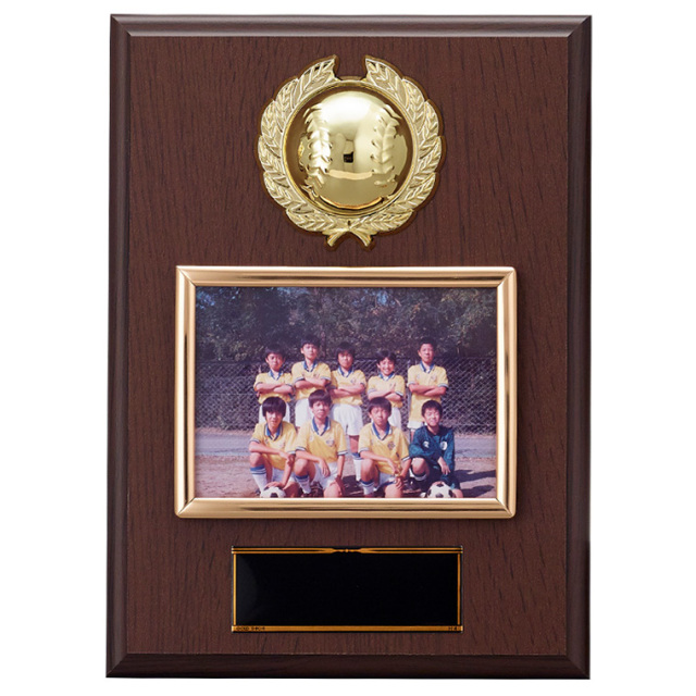 野球専用表彰記念盾 立体野球ボール付木製製盾 写真楯 KV-5502シリーズ