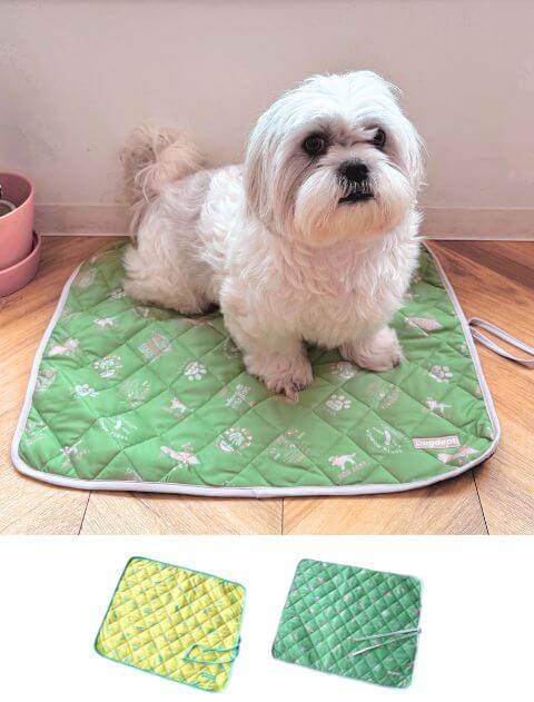 puhdp6様限定商品］バクテリアリキッド×サトウキビマット ?media_id