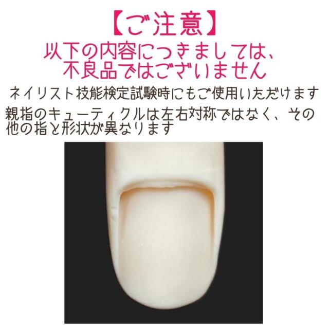 ネイリスト検定 練習 ハンド JNEC認定 滝川 STモデルハンドセット 右手