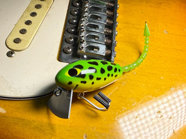 IMG_2609.jpg?t=20260221133102