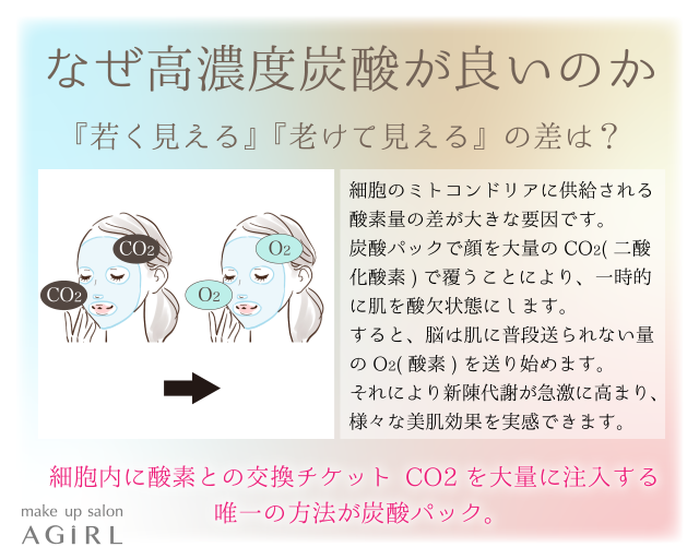 プリマトリーチェ 1817 CO2 ジェルパック 10回分