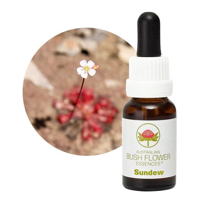 サンデュー オーストラリアンブッシュフラワー シングル 世界の