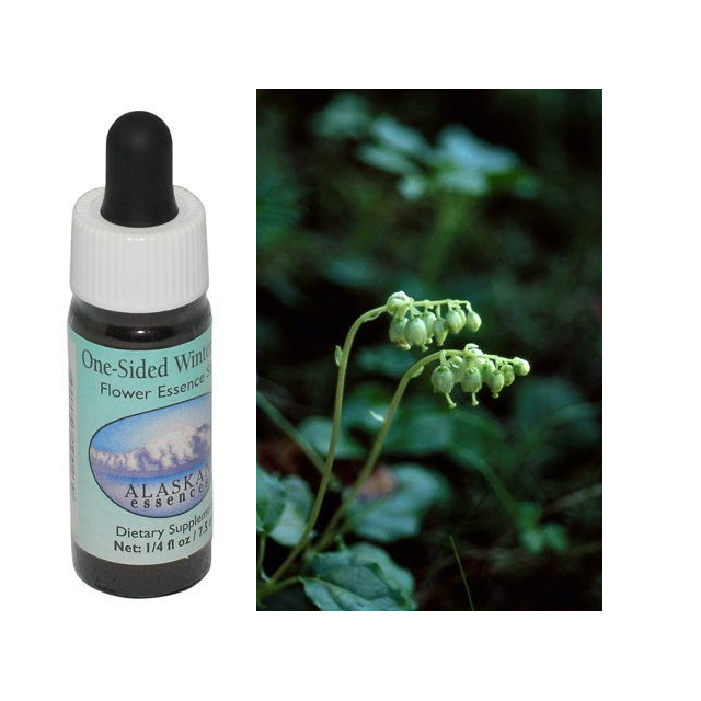 ワンサイデッドウィンターグリーン アラスカンエッセンス