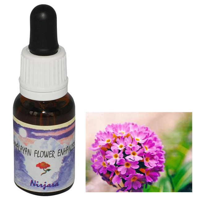 親密さを回復させるロマンスフラワーエッセンスの「インティマシー