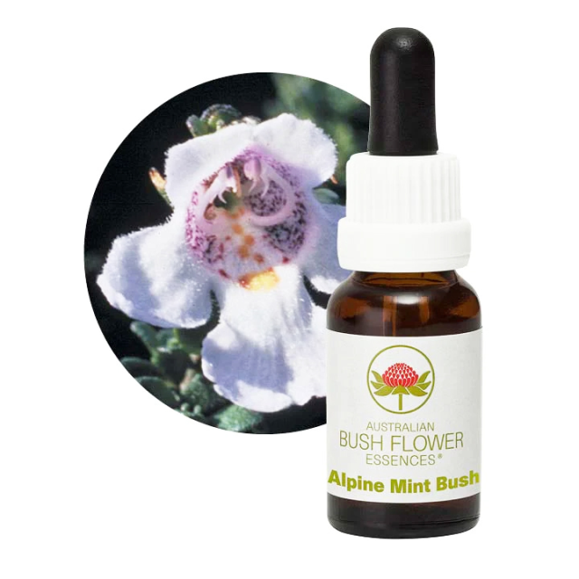 マクロカーパ オーストラリアンブッシュフラワー シングル 世界の