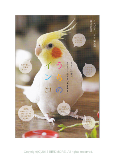 9994055【誠文堂新光社】☆うちのインコ/インコあるあるフォトエッセイ
