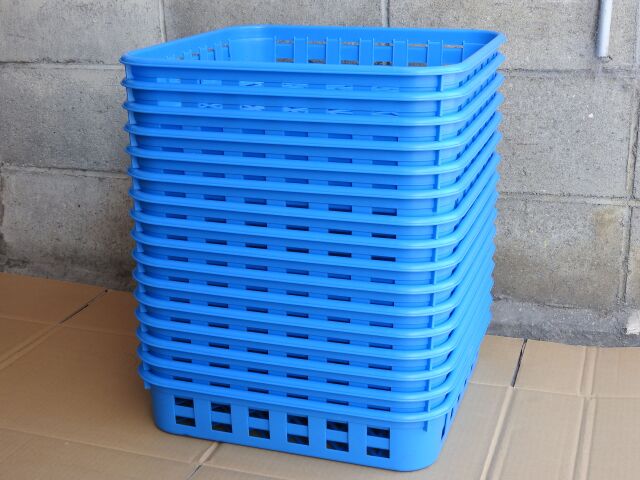 同梱不可商品】ボトルコンテナ ブルー ワイド 8個セット ※菌糸ボトル