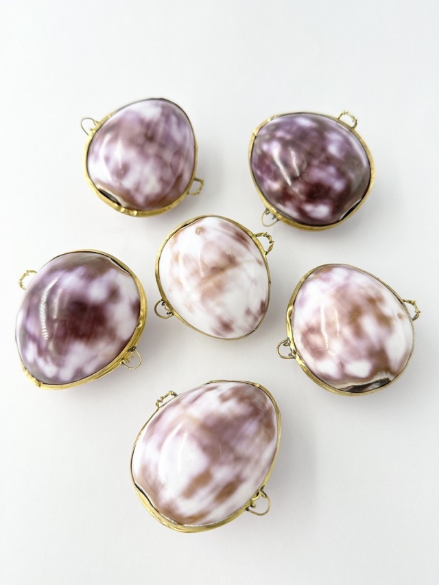 貝殻の小物入れ-タカラガイ(ムラサキ)-【6cm前後/1個】 En: Shell coin