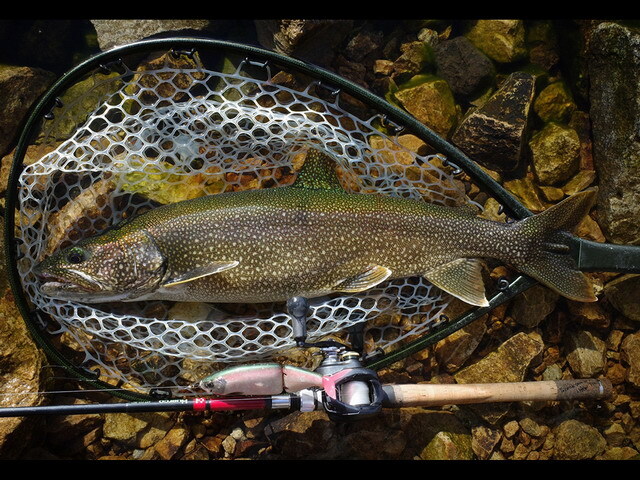 Huerco(フエルコ) XTT 711-5C+ 【シーバスルアー専門店 キング