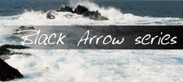 エイムス ブラックアロウ93ML アンリミテッド（Black Arrow93ML