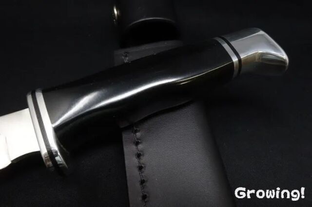 ナイフショップ グローイング！□BUCK【バック】ナイフ□ #105 パス