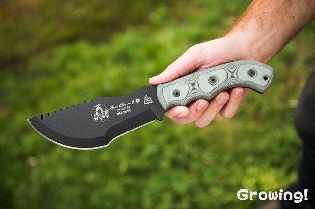 ナイフショップ グローイング！□TOPS【トップス】□ トム ブラウン