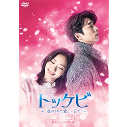 トッケビ～君がくれた愛しい日々～ Blu-ray BOX1 125分 特典映像DVD