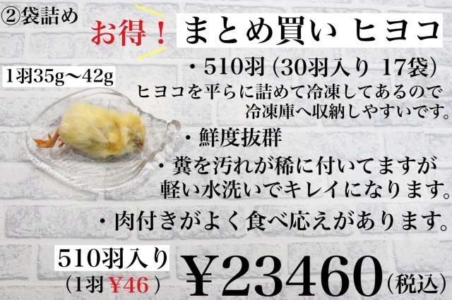 業界最安値‼️冷凍ヒヨコ300羽 業界最安値‼️冷凍ヒヨコ300羽 【公式通販】