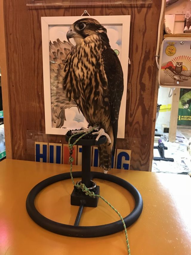 新型 鉄製ファルコンブロック SHサイズ