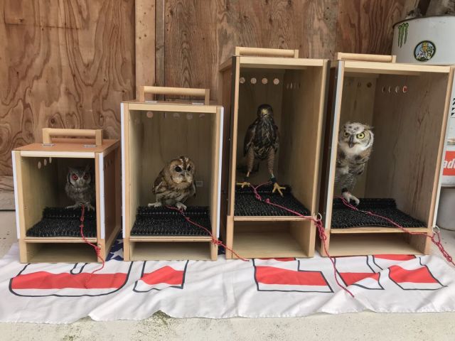 猛禽用移動ケージ Mサイズ