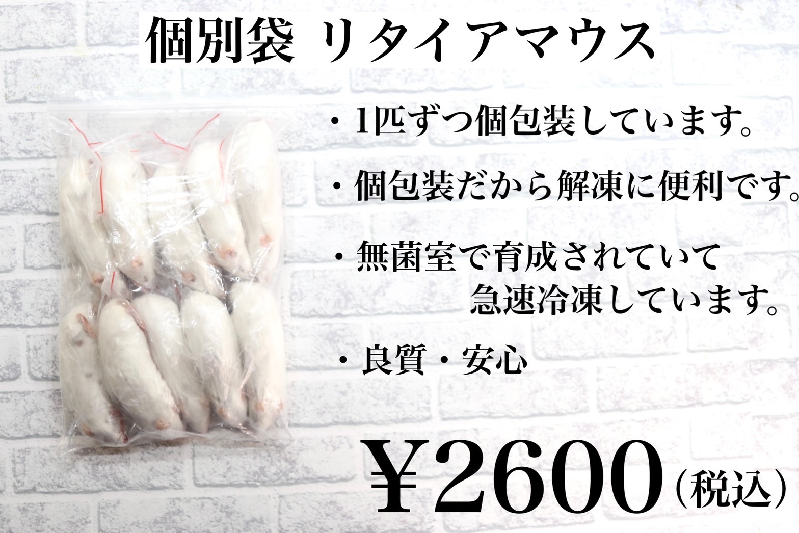 冷凍リタイアマウス 10匹入り