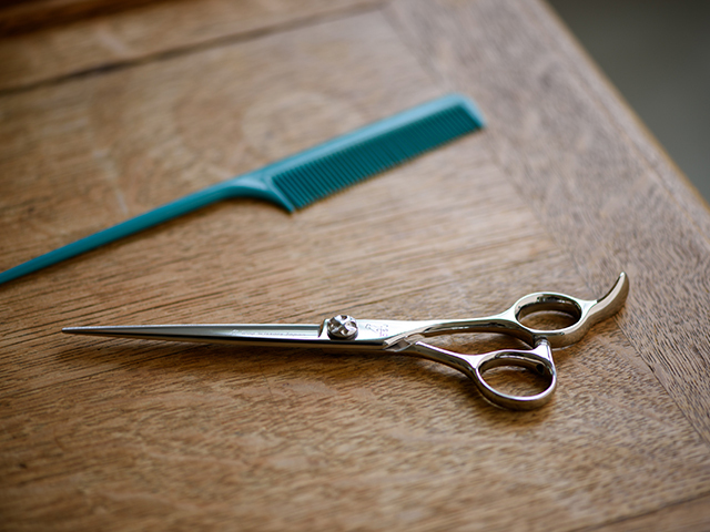 オフセットハンドル ハサミ屋はやし