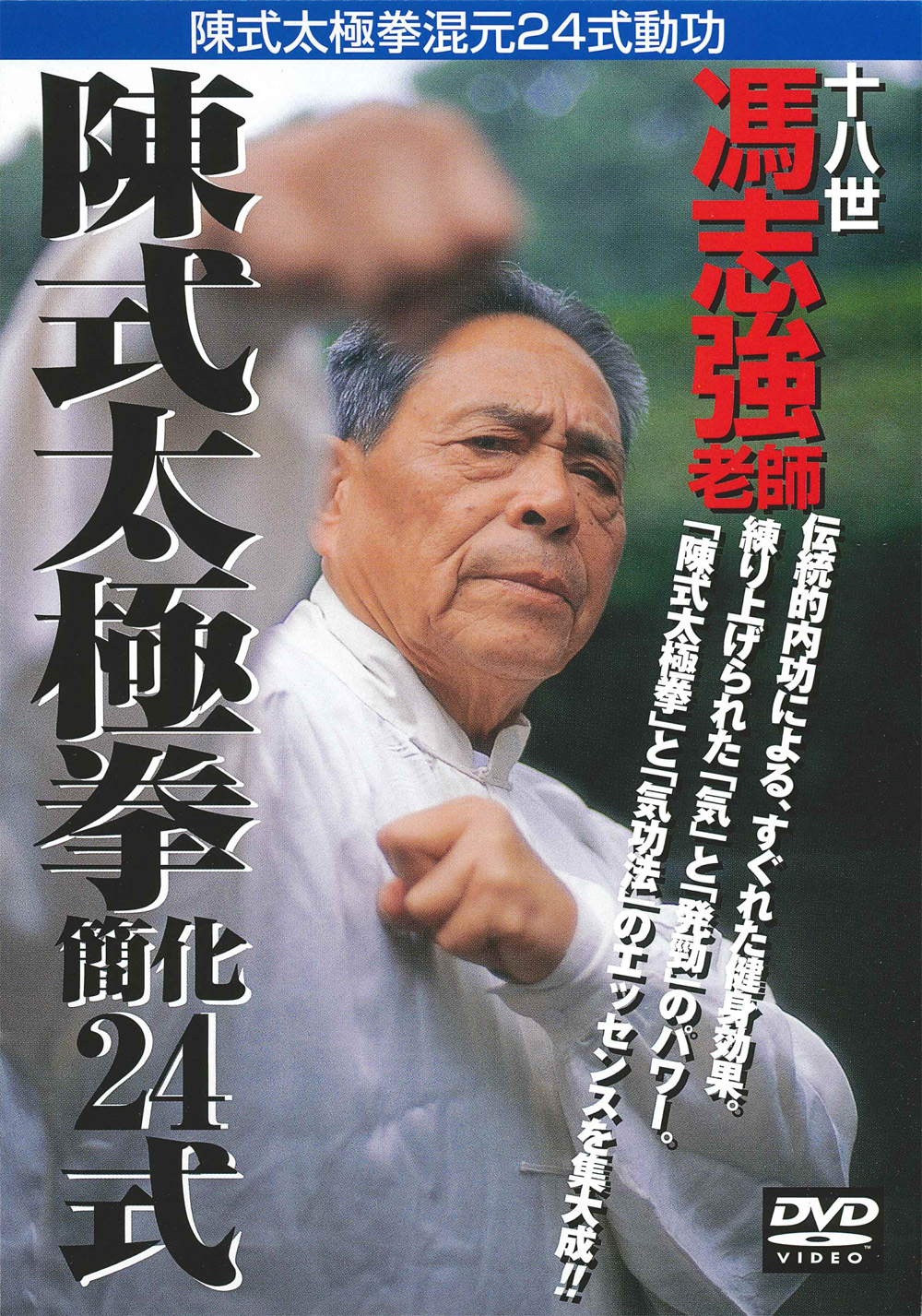 DVD 推手・擒拿技法