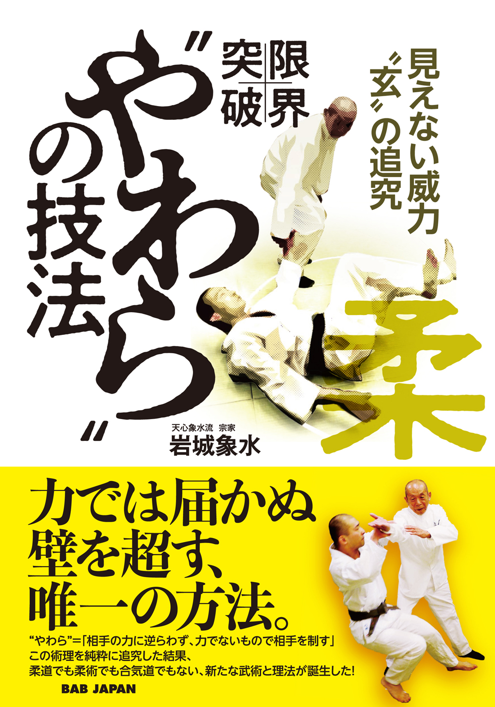 山崎照朝の実戦空手 倒すための構えと攻防（DVD）