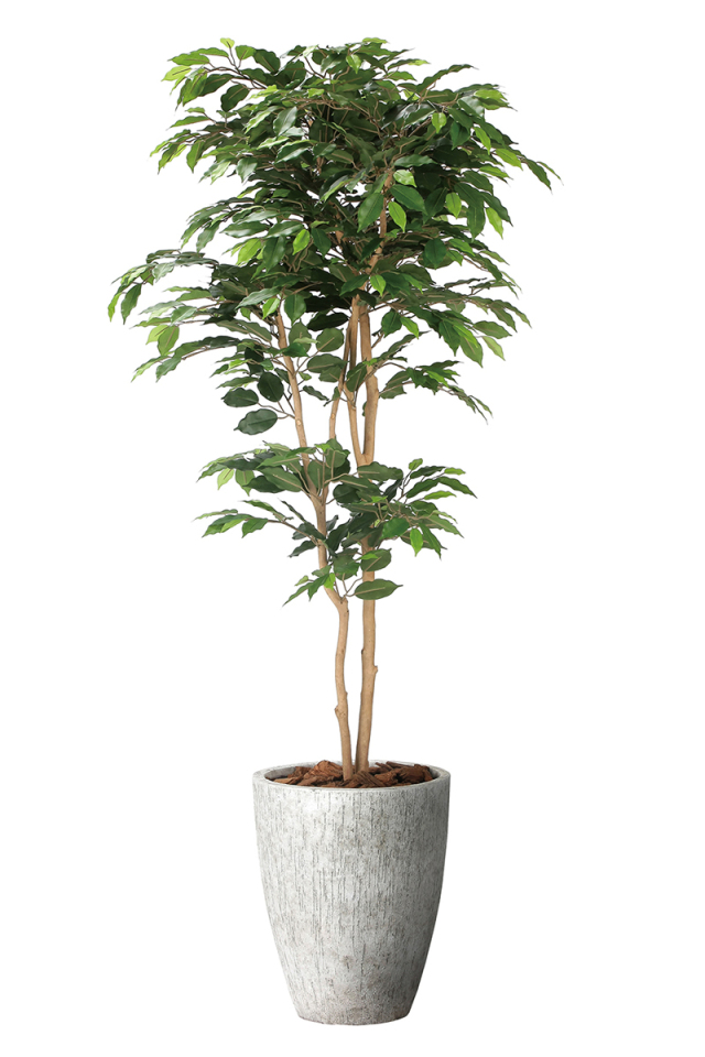 光触媒 光の楽園 オリーブ 高さ 1.6m【インテリア フェイクグリーン