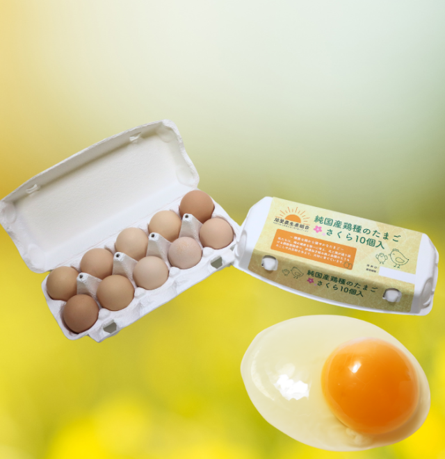 純国産鶏さくらのたまご