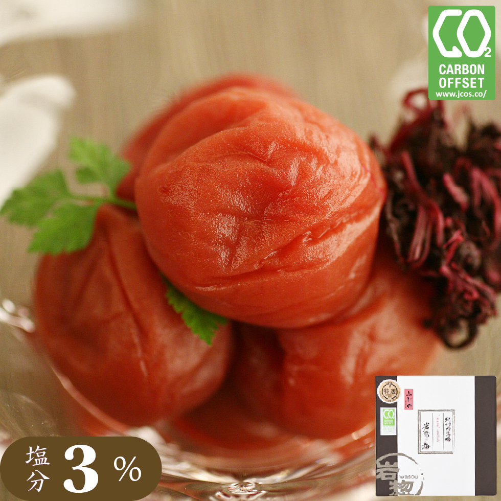 しそ漬味のおいしい梅干し 藤乃600g｜トノハタ梅干・南高梅のお