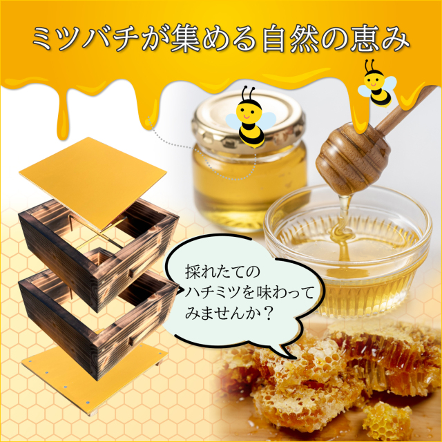 日本蜜蜂 巣箱 ニホンミツバチ 日本みつばち 重箱式巣箱 2段 送料無料