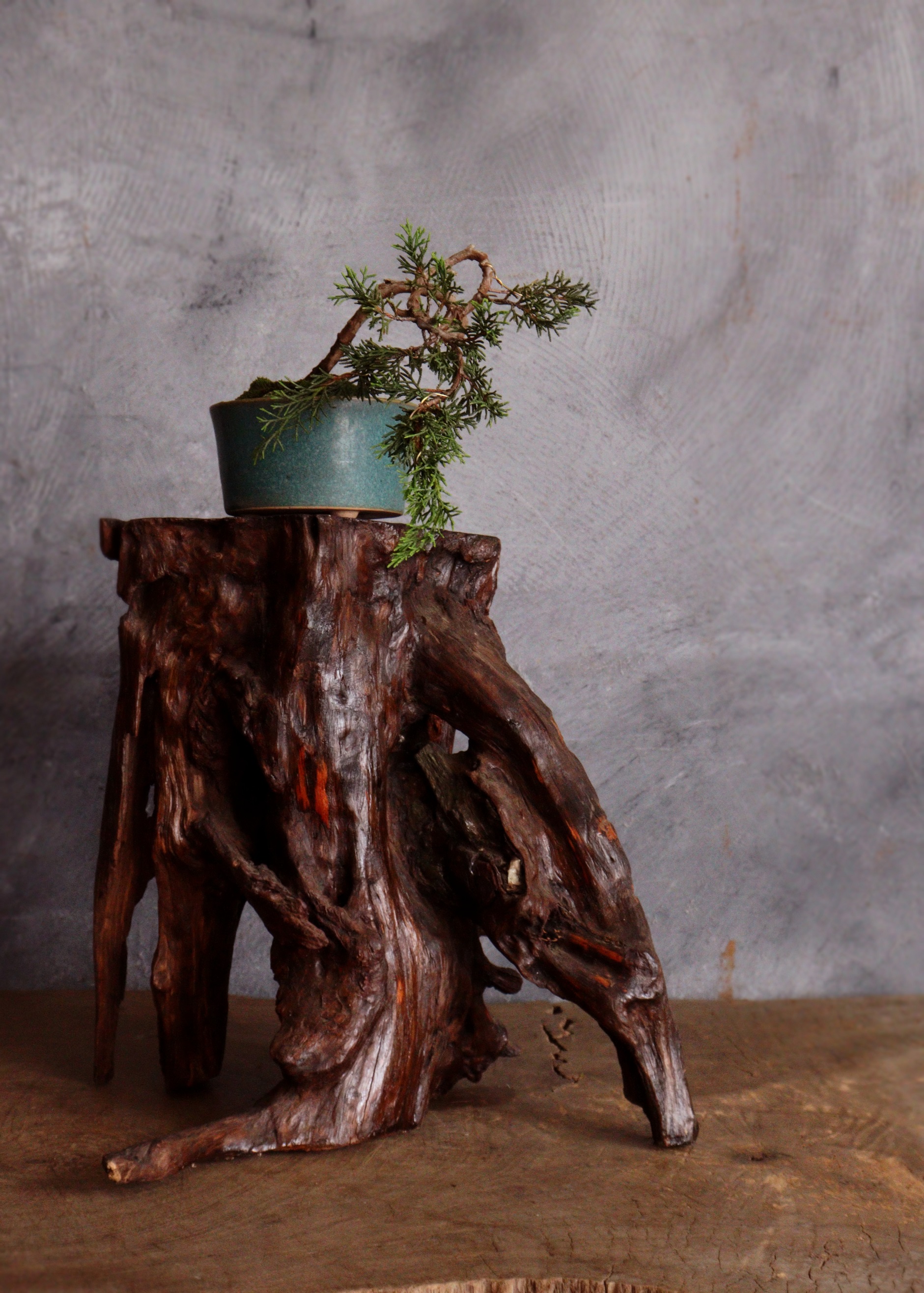 花梨瘤 一枚板 天然木 飾り板 瘤杢 花台 美術品 アンティーク 花梨瘤