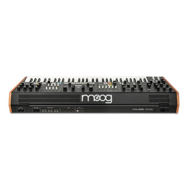 Moog/MUSE【在庫あり】