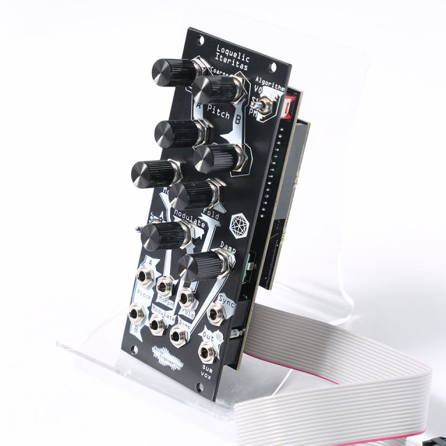 Noise Engineering/Loquelic Iteritas Black【お取り寄せ商品】【WTG】