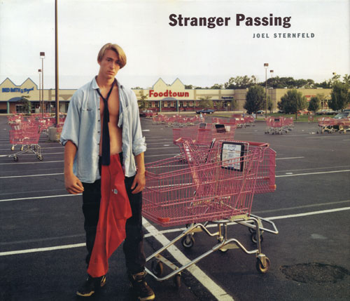 古書古本Totodo：Joel Sternfeld: Stranger Passing [First Edition