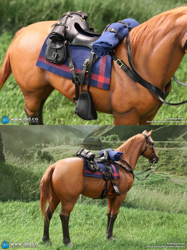 DID】E60082 Brown-Red War Horse (Standing) ネイサン大尉 愛馬 騎馬