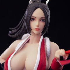 Ninja Cat】N001 1/6 Female Fighter 女性格闘家 1/6スケール