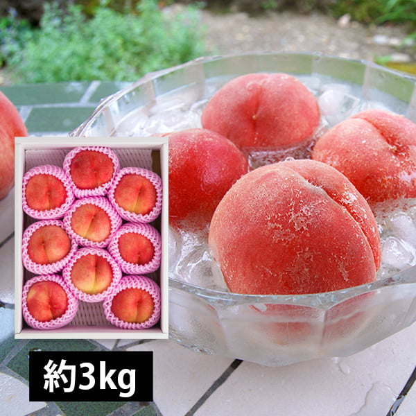 プレミアム白桃CX(シーエックス)約2kg(6〜8玉)