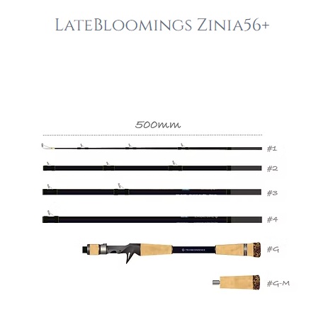 レイトブルーミングス ZINIA 56+ LATEBLOOMINGS ZINIA 56+ トランス