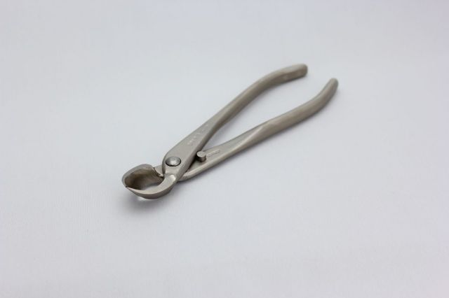 昌国 白染又枝切 小 No,8116