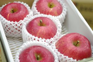 糖度15度 東根エクセレント ふじりんご 約7玉〜約9玉 御歳暮通販