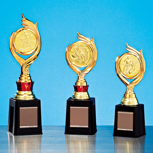 トロフィー 147種目から選べる TRZ-4398 Cサイズ