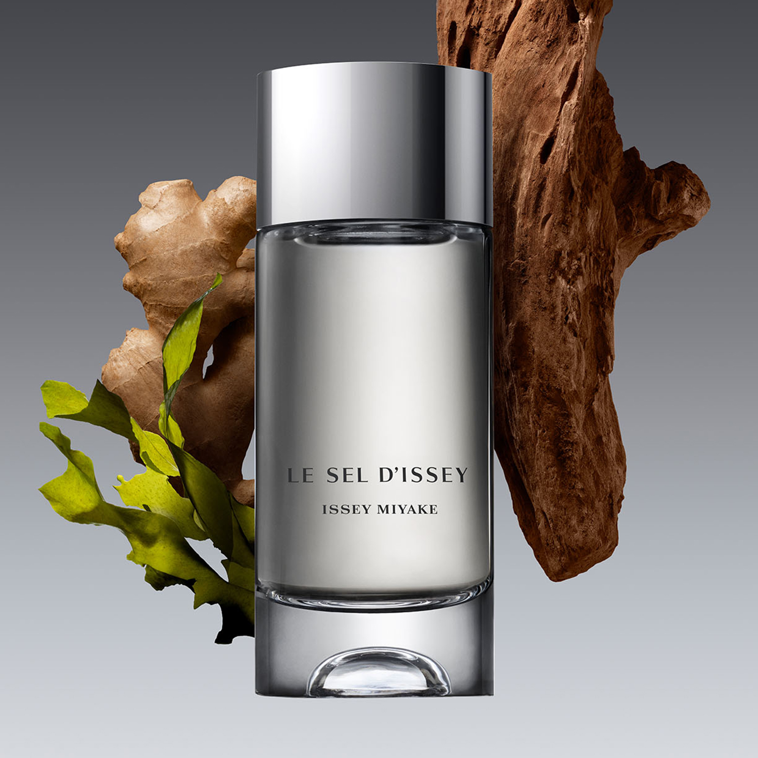 ル セルドゥ イッセイ オードトワレ 50mL｜男性用香水 ・ フレグランス