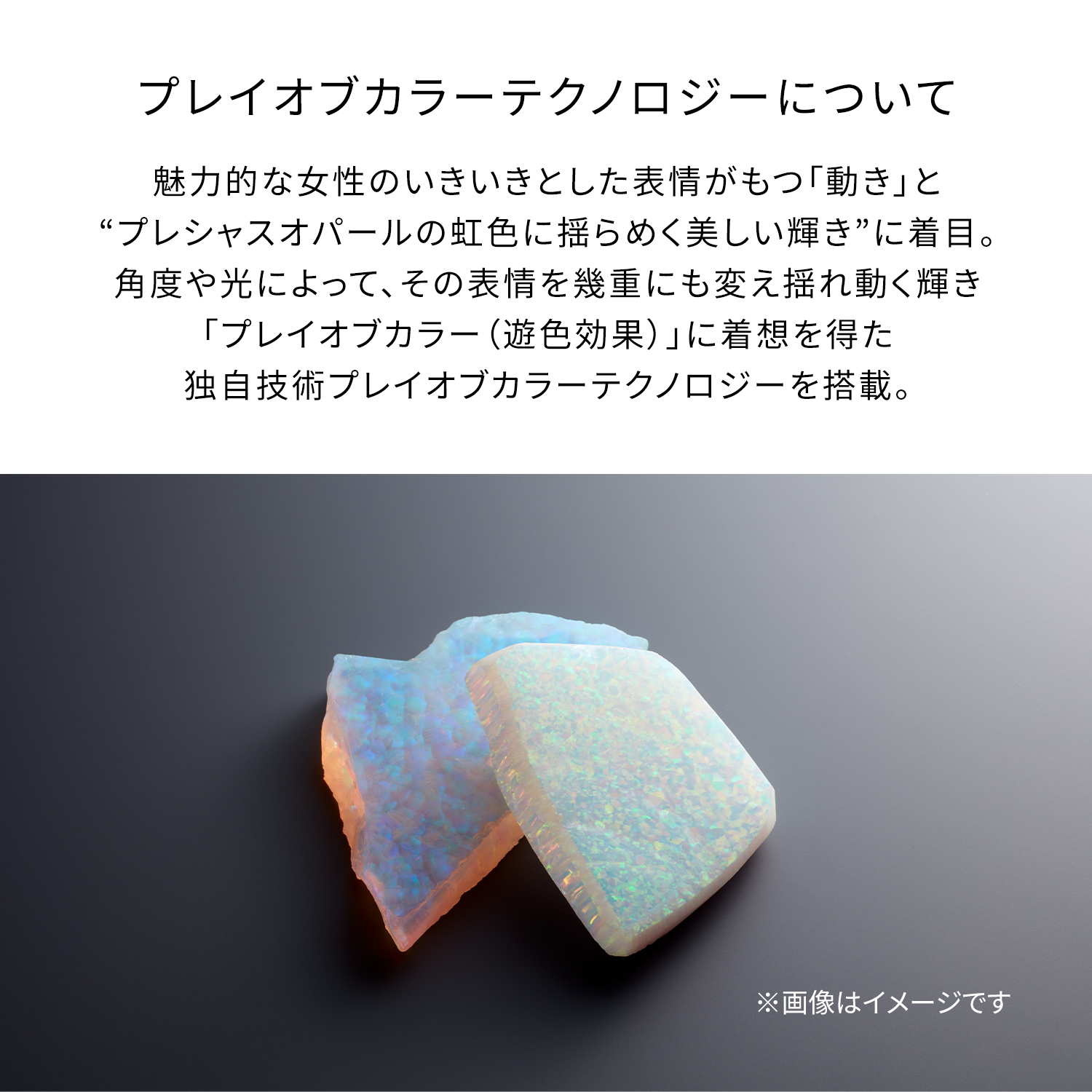 ル・レオスールデクラ｜フェイスカラー｜クレ・ド・ポー ボーテ