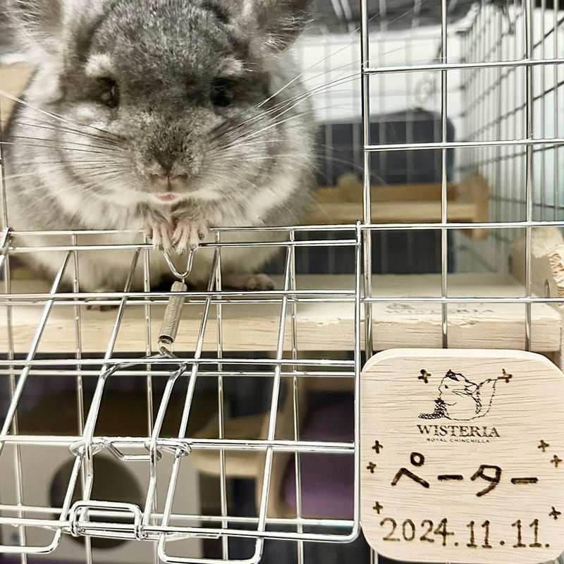 RC WISTERIA✖️Chilla Stage》ネームプレート（お名前手書き焼印無料