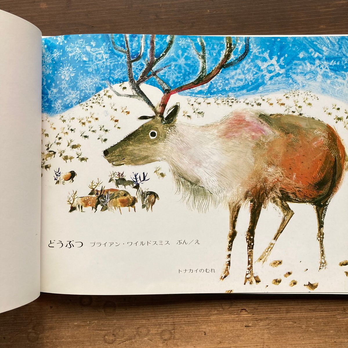 どうぶつ／ブライアン・ワイルドスミス ① | MILMOUNTAIN STORE