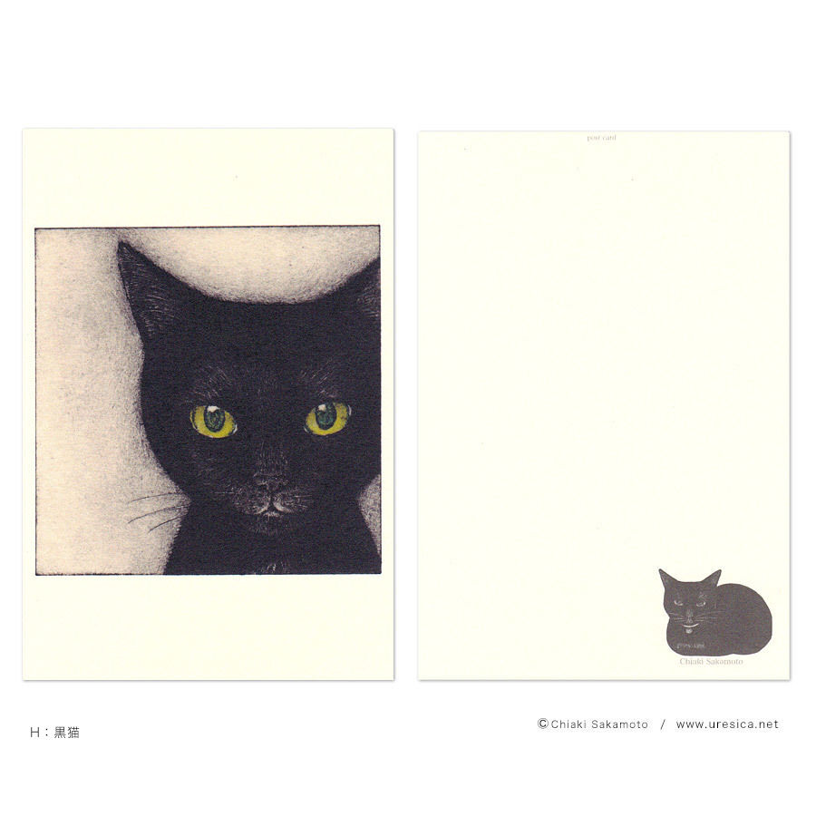 坂本千明 ポストカード（猫） | URESICA