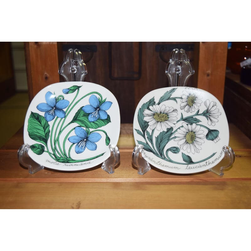 ARABIA ボタニカ エストリ トムラ プレートx2