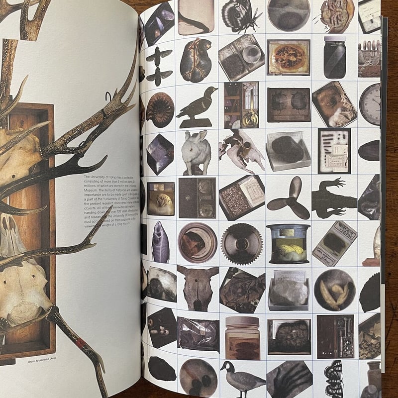 ミクロコスモグラフィア マーク・ダイオンの『驚異の部屋』 図録（豪華