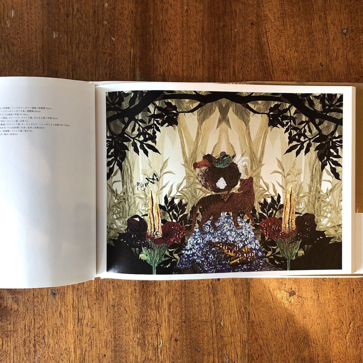 fit=scale-down,w=1200