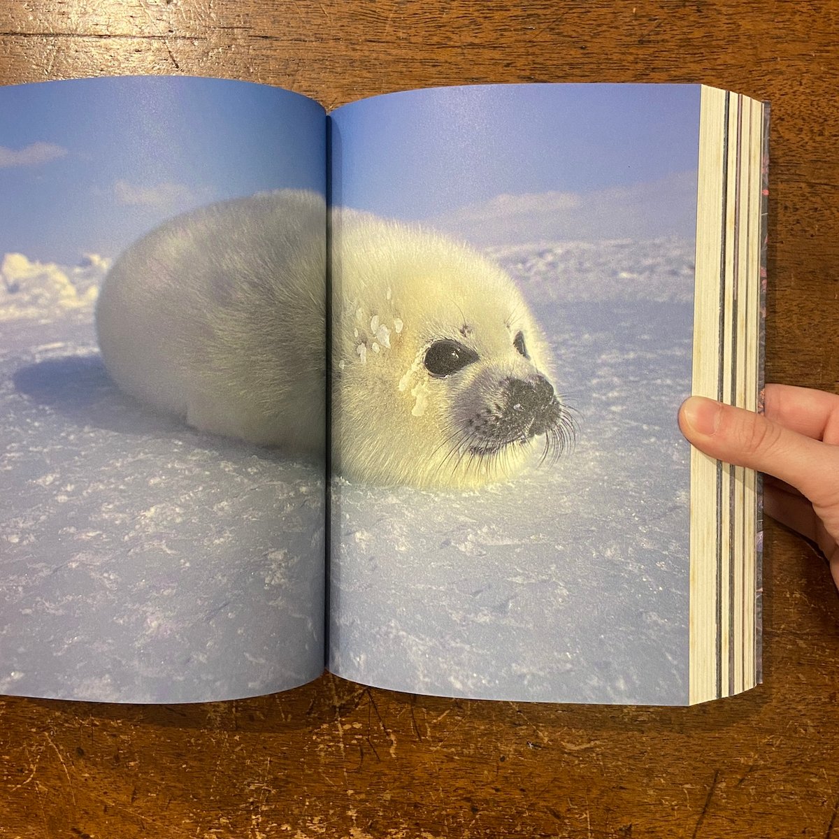 fit=scale-down,w=1200